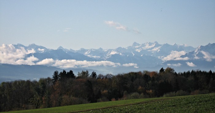 Blick vom Islisberg auf dei Berner Alpen