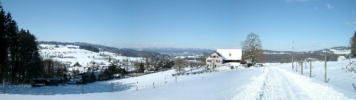 Panorama vom Haldenhof mit Blick auf Aesch im Winter