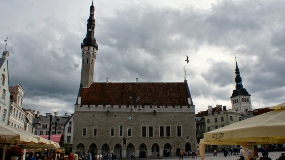 Htel de ville gothique de Tallinn