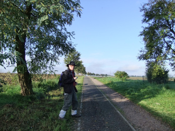 Gerhard sur le chemin avec une range d'arbres