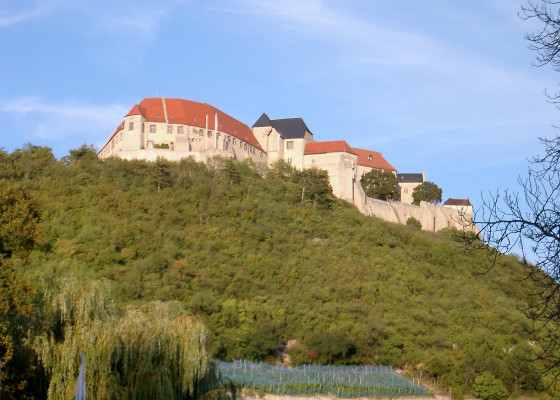 Chteau de Neuenburg sur la colline