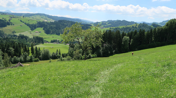Abstieg nach Peterzell