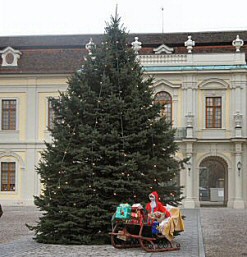 Weihnachtsbaum im Schlosshof Ludwigsburg