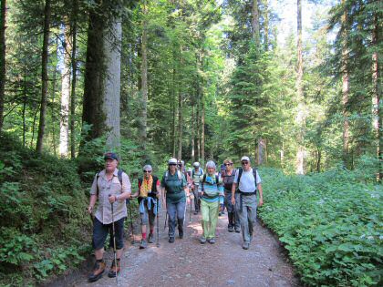 Gruppe im Wald