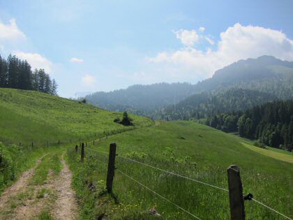 &uuml;ber satte Wiesen - himmelw&auml;rts