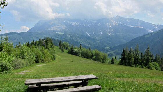 Pilatus von der W&uuml;rzenegg