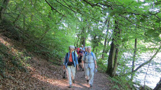 Wandern an der Reuss