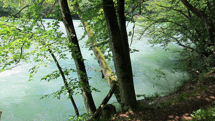 romantisches Reussufer