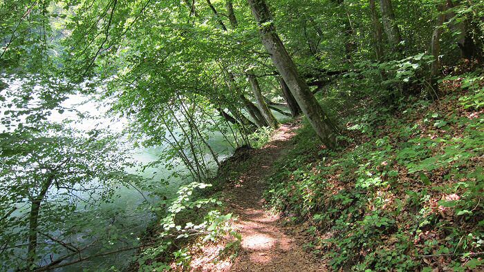 schmaler Weg