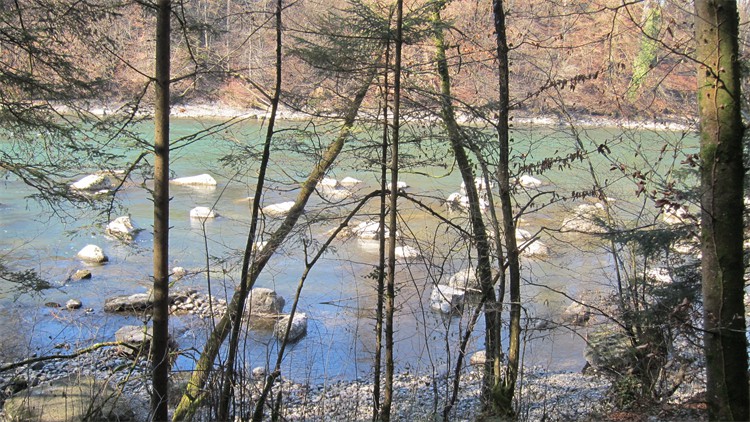 img_0145 img_0145