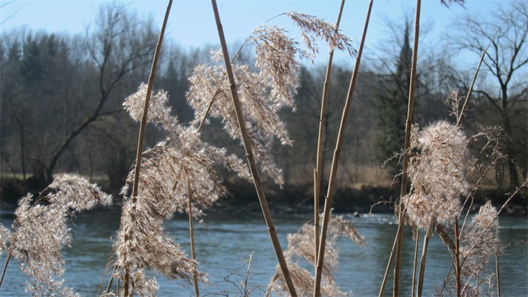 img_0150 img_0150
