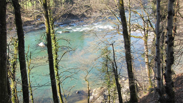 img_0155 img_0155