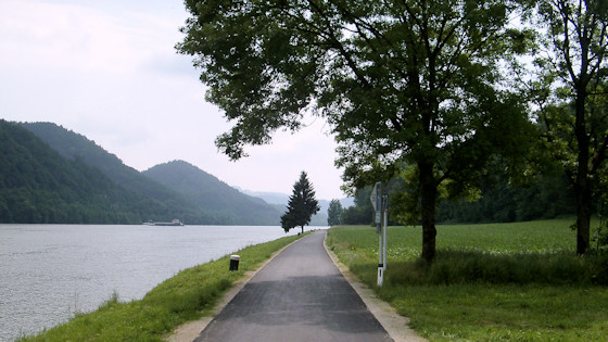 Donauradweg nach Grein