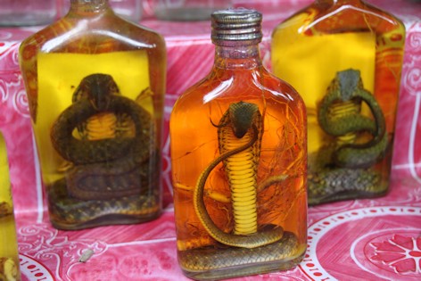 Snake brandy