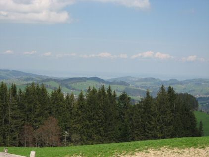 Blick vom Tüfenberg zum Bodensee