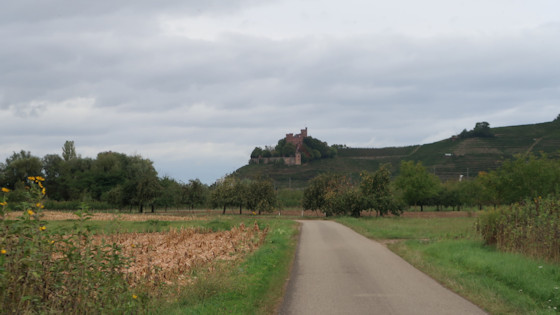 château Ortenberg