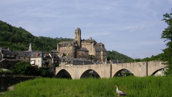 Brücke mit Ente
