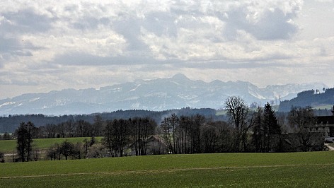 Vue sur les Alpes prs d'Ellighausen