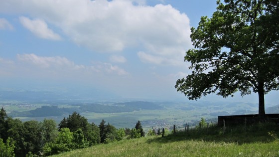Aussichtspunkt Leueberg