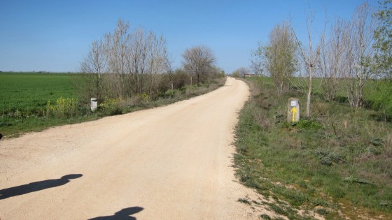 Jakobsweg in der Meseta