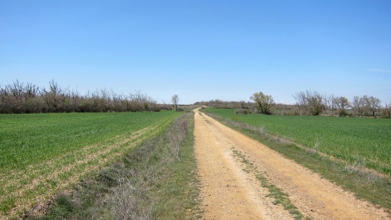 Weg in der Ebene