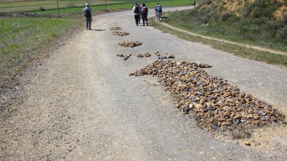many stones shaped to the arrow on the way