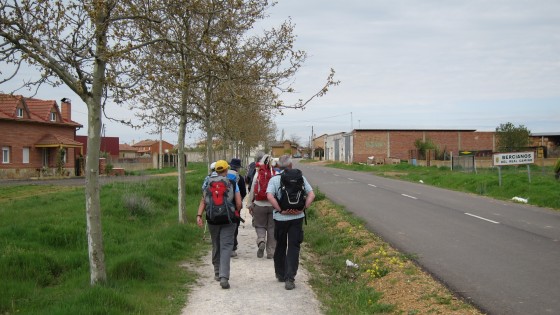 Bercianos del Real Camino