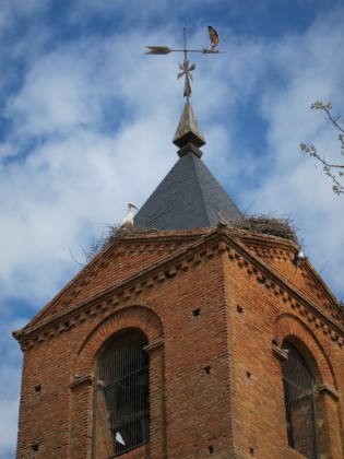 El Burgo Ranero, Kirchturmspitze mit Storch