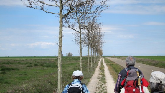 Weg durch die Meseta
