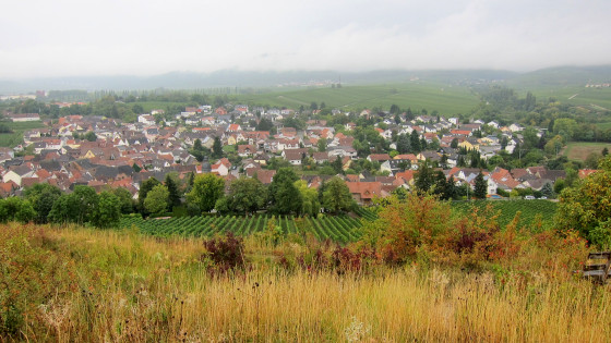 Ilbesheim