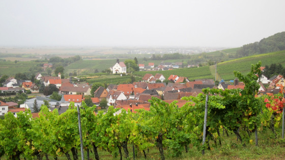 Weindorf Gleiszellen-Gleishorbach