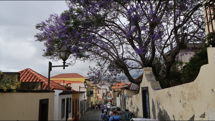 In der Rua de Santa Maria
