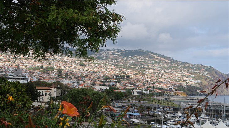 Funchal vom Parque de Santa Catarina Funchal vom Parque de Santa Catarina
