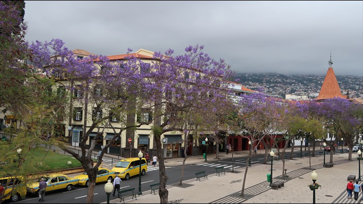 Av. Arriagna