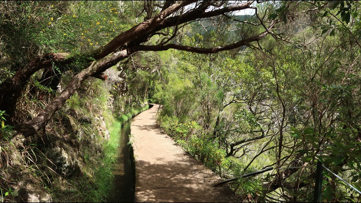 Die 2. Levada führt zum Wasserfall Die 2. Levada führt zum Wasserfall
