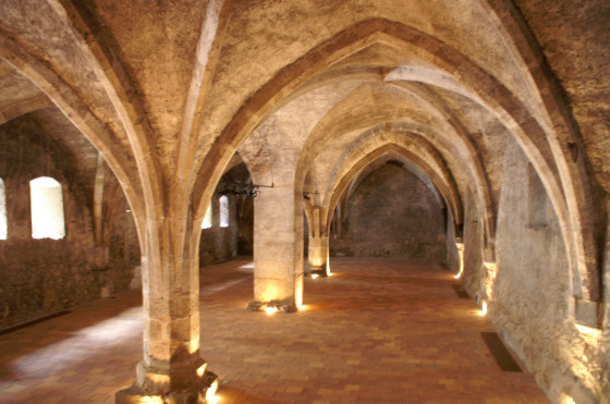 Cave à vin avec voûte gothique